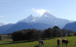 Blick auf den schneebedeckten Watzmann Blick auf den schneebedeckten Watzmann